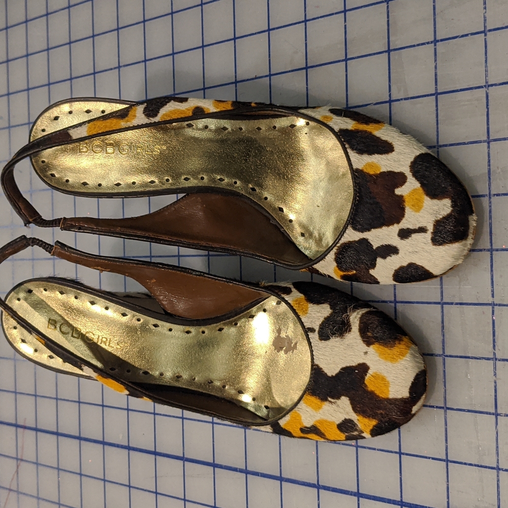 BCBGIRLS shorthair animal print